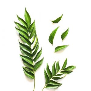Curry Leaves